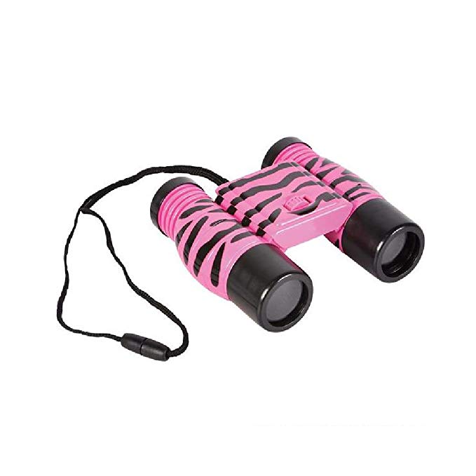 Pink Zebra Print Binoculars (With Sticky Notes)