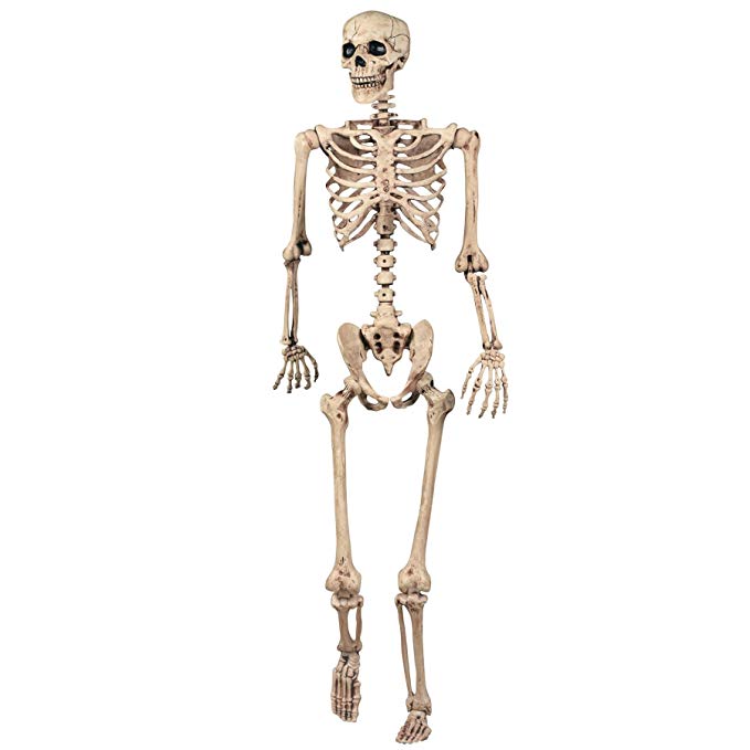 Shatchi 165cm Halloween Skeleton Poseable Decoration Life Size Party Decoration